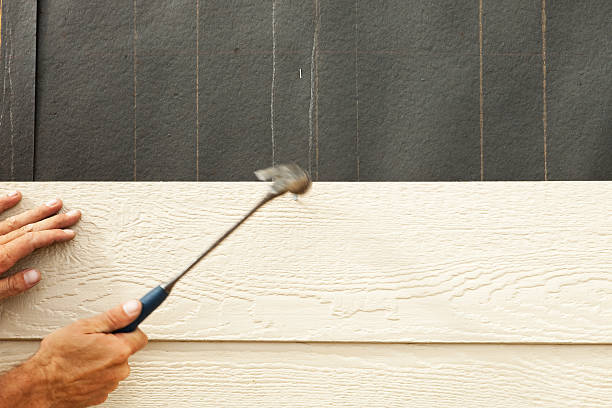 Best Stone Veneer Siding  in South Monroe, MI
